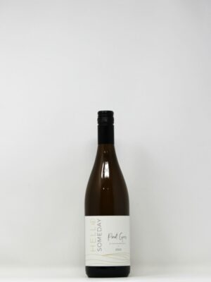 HELLO SOMEDAY PINOT GRIS