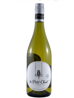 LE PETITE CHAT MALIN BLANC