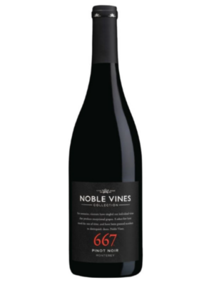 667 PINOT NOIR